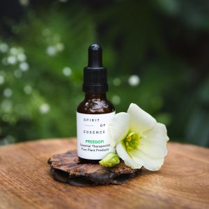 Flower Essence Blend for Forgiveness