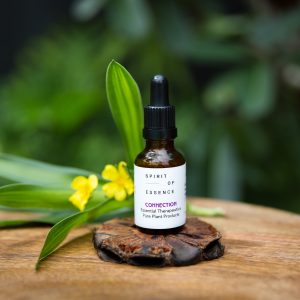 Flower Essence Blend for Self Connection