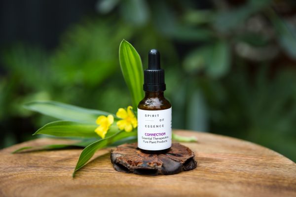 Flower Essence Blend for Self Connection